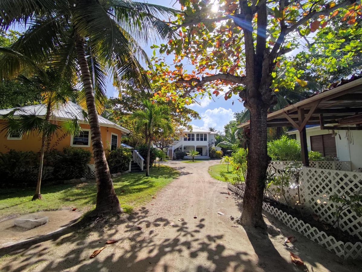 Cocotal Inn And Cabanas San Pedro  Zewnętrze zdjęcie