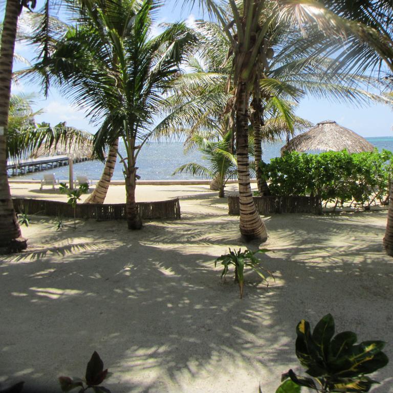 Cocotal Inn And Cabanas San Pedro  Zewnętrze zdjęcie